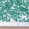 MIYUKI Round Rocailles Beads SEED-X0054-RR0295-4
