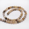 Faceted Round Natural Ocean Fossil Agate Bead Strands G-L437-04-8mm-2