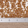 MIYUKI Delica Beads SEED-X0054-DB1734-4