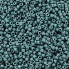 MIYUKI Delica Beads SEED-MY11-DB2407-2