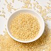 12/0 Transparent Glass Seed Beads X-SEED-F003-03C-14-2
