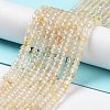 Natural Rutilated Quartz Beads Strands G-J400-C11-02-2