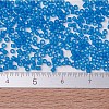 MIYUKI Delica Beads SEED-MY11-DB0787-4