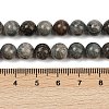 Natural Gemstone Beads Strands G-F792-C11-06-5