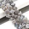 Natural Weathered Agate Beads Strands G-Q169-C04-01A-2