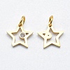 316 Surgical Stainless Steel Pendants STAS-K178-01A-G-2