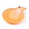 Undyed Natural Scallop Shell Big Pendants SHEL-T020-01-3