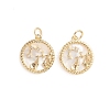 Brass Micro Pave Cubic Zirconia Pendants ZIRC-E164-36B-G-2