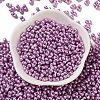 Glass Seed Beads SEED-L011-04A-03-2