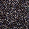 TOHO 8/0 Round Beads X-SEED-TR08-0166CF-2