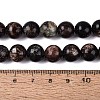 Natural Biotite Beads Strands G-Q616-01D-5