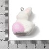 Easter Opaque Resin Pendants LS-RESI-F062-03D-3