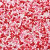 Baking Paint Glass Seed Beads SEED-S042-05B-46-3