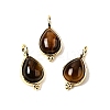 Natural Tiger Eye Pendants KK-P325-08G-01-1