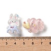 Transparent Resin Cabochons X-RESI-K043-26-3