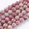 Natural Fossil Coral Beads Strands G-F563-01-10mm-1