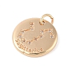 Brass with Clear Cubic Zirconia Pendants KK-N256-24I-G-2