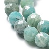 Natural Amazonite Beads Strands G-J400-E11-07AB-4