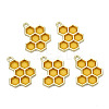 Epoxy Resin Pendants LS-X-RESI-Q213-001-NR-3