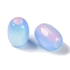 Triple Color Resin European Beads RESI-F055-13F-2