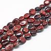 Dyed & Heated Natural Red Tiger Eye Beads Strands G-R445-8x10-30-1