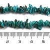 Natural HuBei Turquoise Beads Strands G-B089-A01-02-5