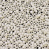 MIYUKI Delica Beads SEED-MY11-DB0883-3