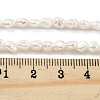 Natural Keshi Pearl Cultured Freshwater Pearl Beads Strands PEAR-P062-25E-X-5