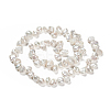 Natural Baroque Pearl Keshi Pearl Beads Strands PEAR-Q004-31-2