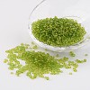 8/0 Glass Seed Beads X-SEED-A004-3mm-4-1