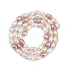 Electroplated Shell Pearl Beads Strands BSHE-H113-06C-01-2