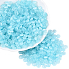 600Pcs Glass Seed Beads SEED-PA0001-17A-1