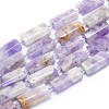 Natural Amethyst Beads Strands G-E530-16R-1