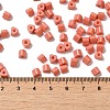 Baking Paint Glass Bead SEED-H002-K-D324-4