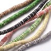 Natural Sea Shell Beads Strands BSHE-O009-12-1