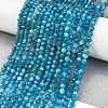 Natural Apatite Beads Strands G-Z057-B02-02-2