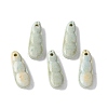 Natural Rainbow Alashan Agate Charms G-G194-05B-1