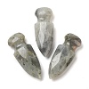 Natural Labradorite Craved Sword Model Ornament DJEW-C019-02K-1