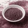 MIYUKI Round Rocailles Beads SEED-X0056-RR0142-2