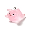 Translucent Resin Pendants LS-RESI-E031-01P-06-1