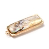 Brass Enamel Pendants KK-K252-10G-05-4