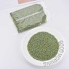 8/0 Glass Seed Beads SEED-S006-31-2