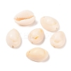Cowrie Shell Pendants PTS057Y-1