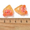 Ice Ocean Theme Opaque Resin Cabochons CRES-D040-02F-3
