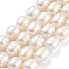 Natural Cultured Freshwater Pearl Beads Strands PEAR-P062-10I-2