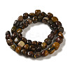 Natural Petrified Wood Beads Strands G-B078-D18-01-3