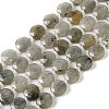 Natural Labradorite Bead Strands LS-G-C116-A10-01-1