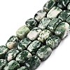 Natural Green Spot Jasper Beads Strands G-T138-96-4