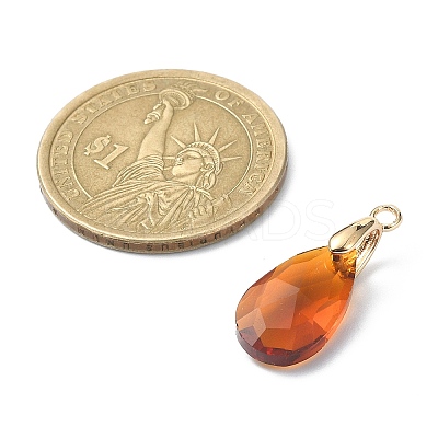 Faceted Teardrop Glass Pendants PALLOY-TA00051-1