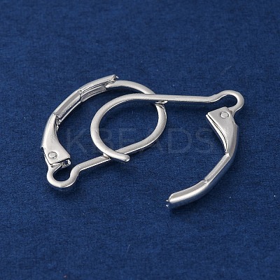 304 Stainless Steel Leverback Earring Findings STAS-K233-04S-1
